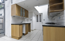 Llanarth kitchen extension leads